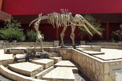 Museo del Mamut in Chihuahua, Mexico – Museum Information gallery image