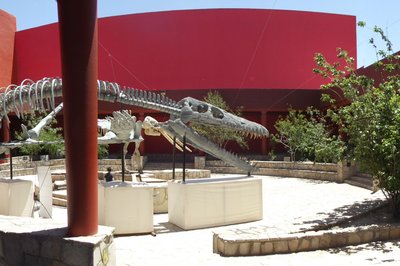 Museo del Mamut in Chihuahua, Mexico – Museum Information gallery image