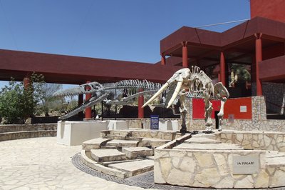 Museo del Mamut in Chihuahua, Mexico – Museum Information gallery image