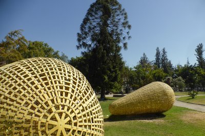 Museo Semilla in Chihuahua, Mexico – Museum Information gallery image