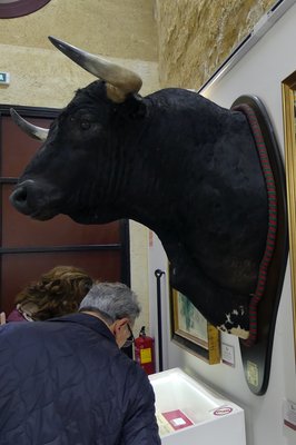 Museo de Ganaderia in Muzquiz, Mexico – Museum Information gallery image