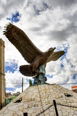 Museo de Las Aves de Mexico in Saltillo, Mexico – Museum Information gallery image