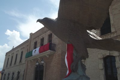 Museo de Las Aves de Mexico in Saltillo, Mexico – Museum Information gallery image