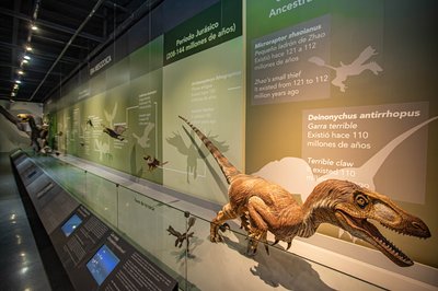 Museo de Las Aves de Mexico in Saltillo, Mexico – Museum Information gallery image