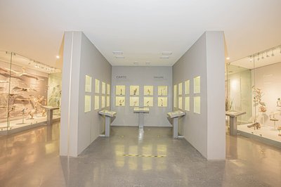 Museo de Las Aves de Mexico in Saltillo, Mexico – Museum Information gallery image
