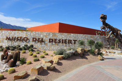 Museo del Desierto in Saltillo, Mexico – Museum Information gallery image