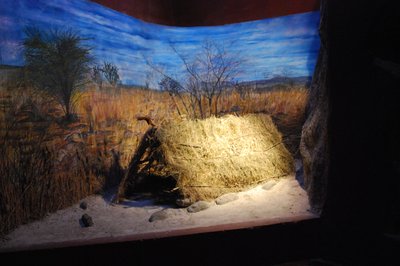 Durango Museum of Archeology Ganot-Peschard in Durango, Mexico – Museum Information gallery image
