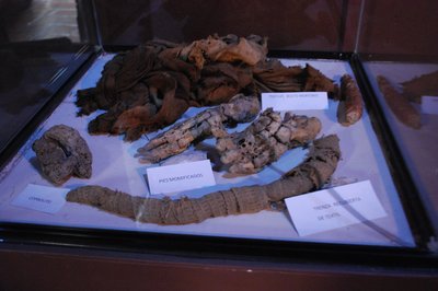 Durango Museum of Archeology Ganot-Peschard in Durango, Mexico – Museum Information gallery image