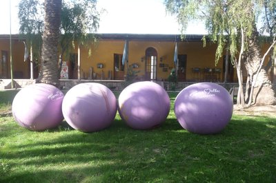 Museo Regional de Durango in Durango, Mexico – Museum Information gallery image