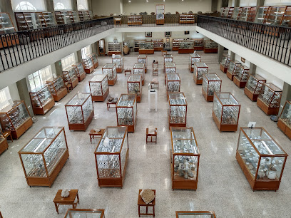 Museo de Mineralogia Eduardo Villasenor Sohle in Guanajuato, Mexico – Museum Information