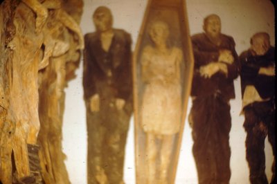 Museum of the Mummies of Guanajuato in Guanajuato, Mexico – Museum Information gallery image