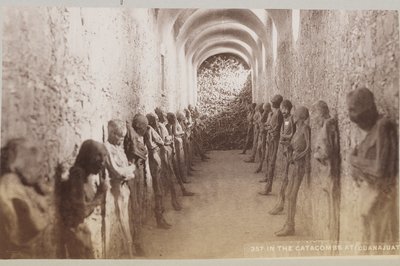 Museum of the Mummies of Guanajuato in Guanajuato, Mexico – Museum Information gallery image