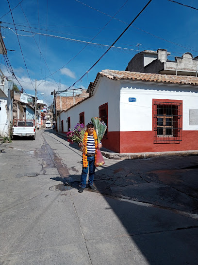 Casa Museo De Ignacio Manuel Altamirano in Tixtla, Mexico – Museum Information