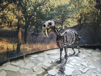 Museum of Paleontology Guadalajara in Guadalajara, Mexico – Museum Information