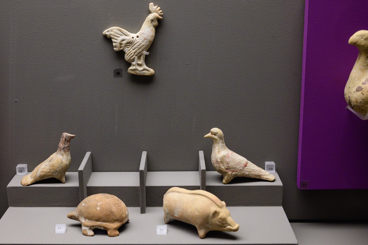 Art Museum Toys in Mexico City, Mexico – Museum Information