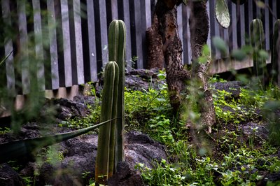 Museo Anahuacalli in Mexico City, Mexico – Museum Information gallery image