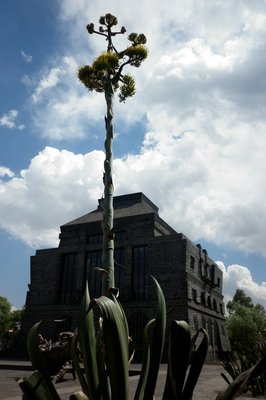 Museo Anahuacalli in Mexico City, Mexico – Museum Information gallery image