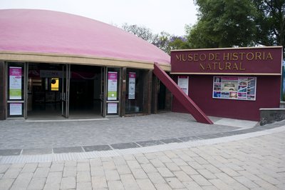 Museo de Historia Natural in Mexico City, Mexico – Museum Information gallery image
