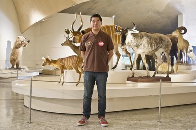 Museo de Historia Natural in Mexico City, Mexico – Museum Information gallery image