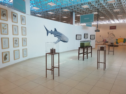 Ximhai Museo de Ciencias UAQ in Rancho Largo, Mexico – Museum Information