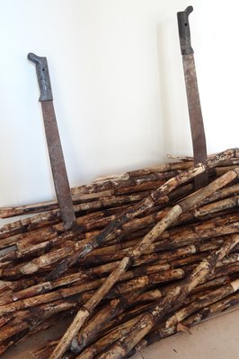 Museum of Mayan Culture in Chetumal, Mexico – Museum Information gallery image