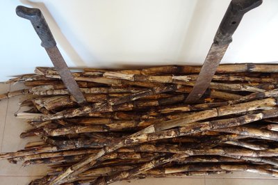 Museum of Mayan Culture in Chetumal, Mexico – Museum Information gallery image