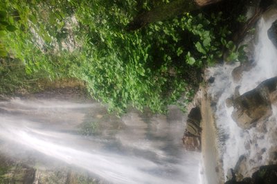 Las Pozas in Xilitla, Mexico – Museum Information gallery image