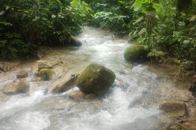 Las Pozas in Xilitla, Mexico – Museum Information gallery image