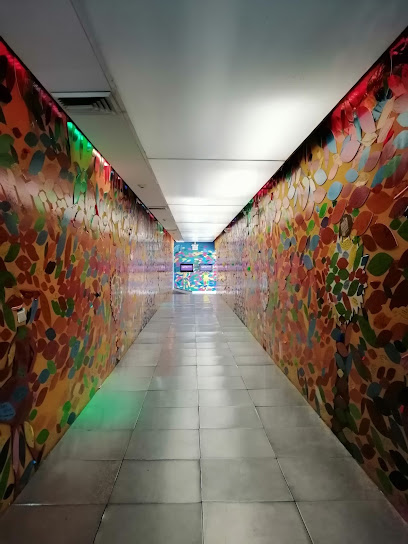 Museo Interactivo sobre las Adicciones – MIA in Culiacan, Mexico – Museum Information