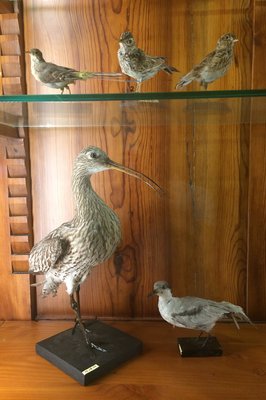 Museo de Ciencias Naturales in Toluca, Mexico – Museum Information gallery image
