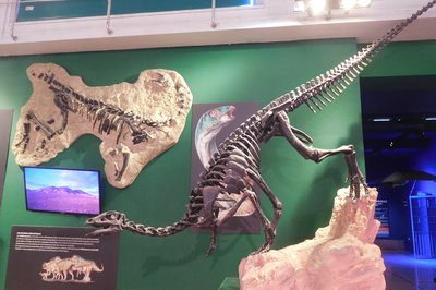 Museo de Ciencias Naturales in Toluca, Mexico – Museum Information gallery image