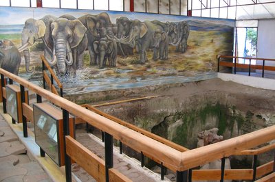 Museo Paleontologico Tocuila. in San Miguel Tocuila, Mexico – Museum Information gallery image