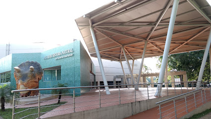 Museo de Historia Natural Jose Narciso Rovirosa in Villahermosa, Mexico – Museum Information