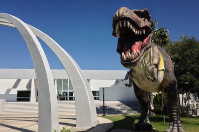Museo de Historia Natural de Tamaulipas TAMUX in Ciudad Victoria, Mexico – Museum Information gallery image