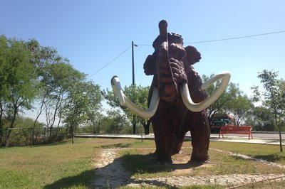Museo de Historia Natural de Tamaulipas TAMUX in Ciudad Victoria, Mexico – Museum Information gallery image