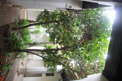 Dar Si Said Museum in Marrakech, Morocco – Museum Information gallery image