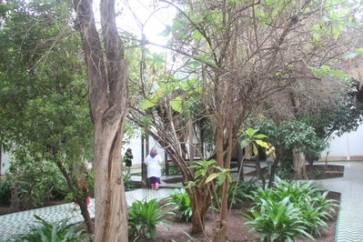 Dar Si Said Museum in Marrakech, Morocco – Museum Information gallery image