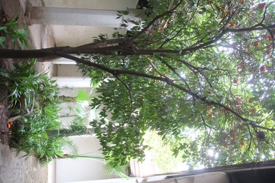 Dar Si Said Museum in Marrakech, Morocco – Museum Information gallery image