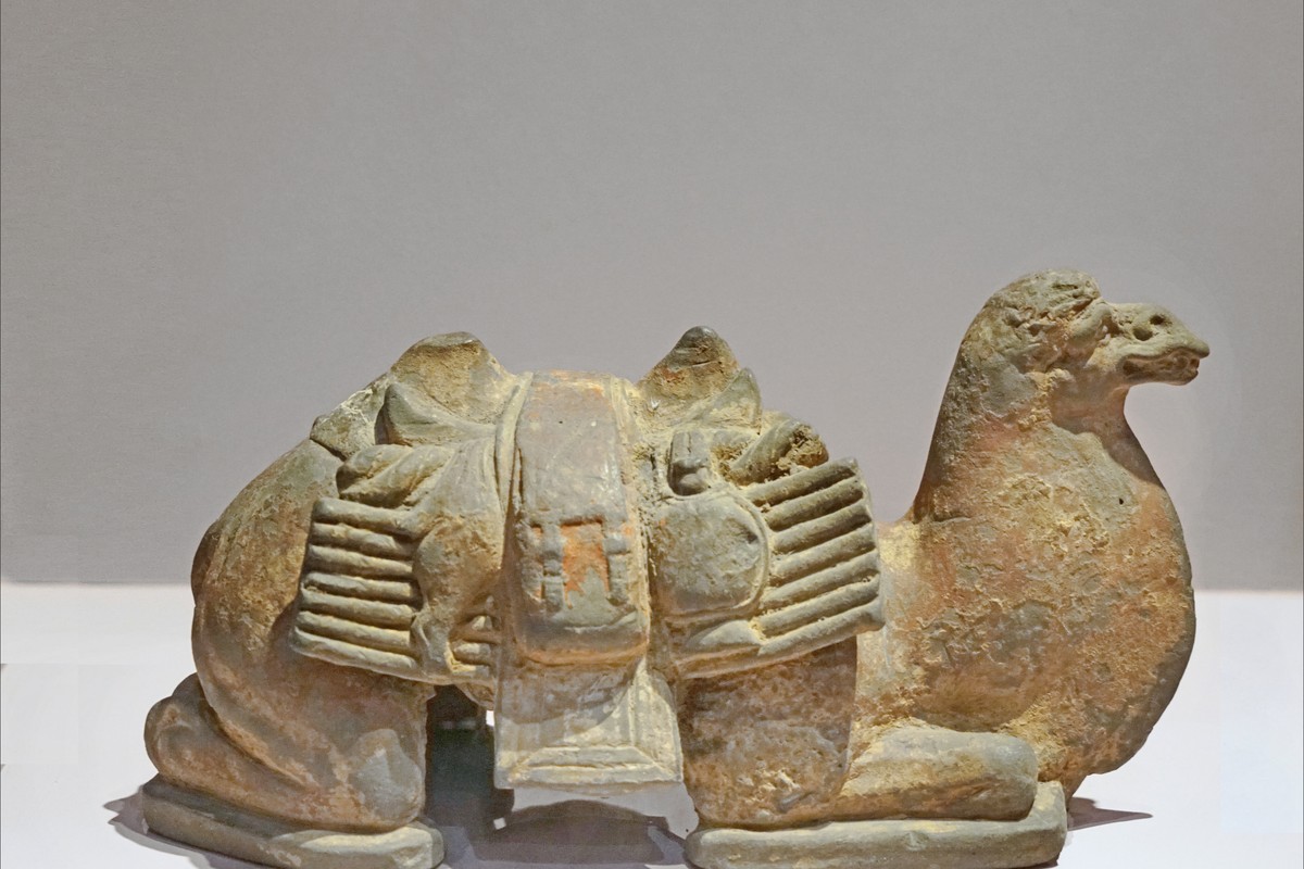 Musée des Oasis in Oriental, Morocco – Museum Information