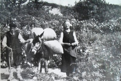 Donkey Museum in Tangier, Morocco – Museum Information gallery image