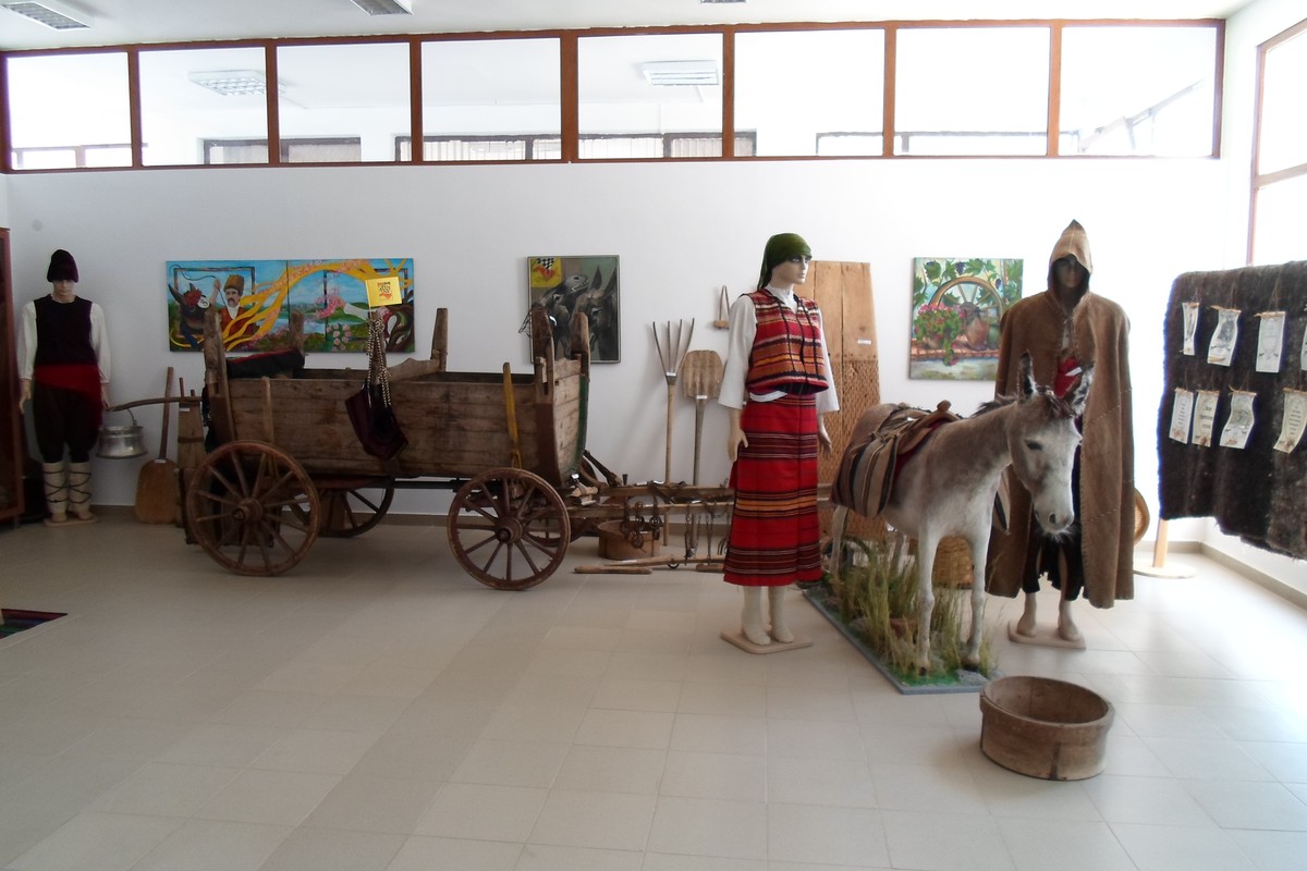 Donkey Museum in Tangier, Morocco – Museum Information