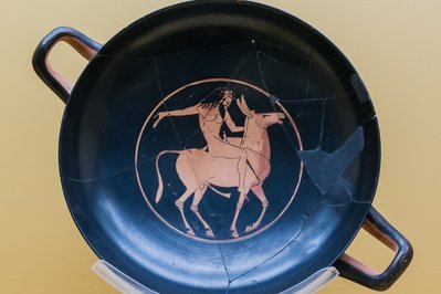 Donkey Museum in Tangier, Morocco – Museum Information gallery image
