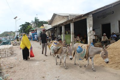 Donkey Museum in Tangier, Morocco – Museum Information gallery image