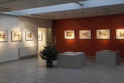 Museum Land van Valkenburg in Maastricht, Netherlands – Museum Information gallery image