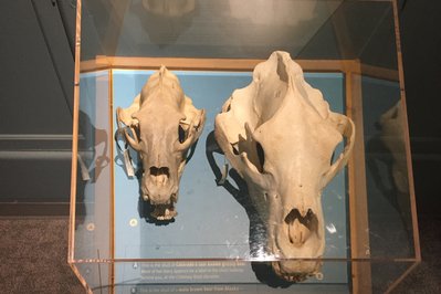 Next Nature Museum in Eindhoven, Netherlands – Museum Information gallery image