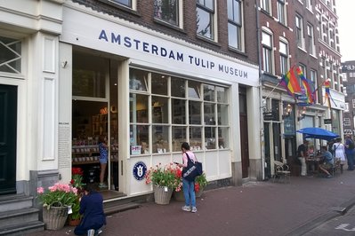 Amsterdam Tulip Museum in Amsterdam, Netherlands – Museum Information gallery image