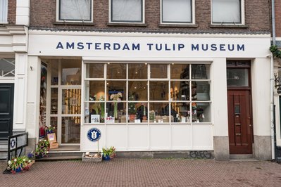 Amsterdam Tulip Museum in Amsterdam, Netherlands – Museum Information gallery image