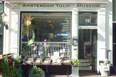 Amsterdam Tulip Museum in Amsterdam, Netherlands – Museum Information gallery image