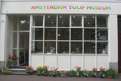Amsterdam Tulip Museum in Amsterdam, Netherlands – Museum Information gallery image