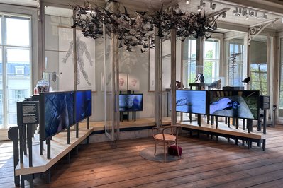 ARTIS – Groote Museum in Amsterdam, Netherlands – Museum Information gallery image